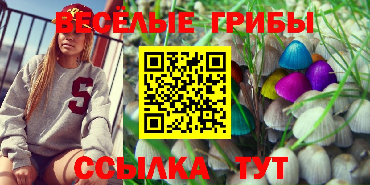 Галлюциногенные грибы прущие грибы  Вход с VPN  Минусинск 
