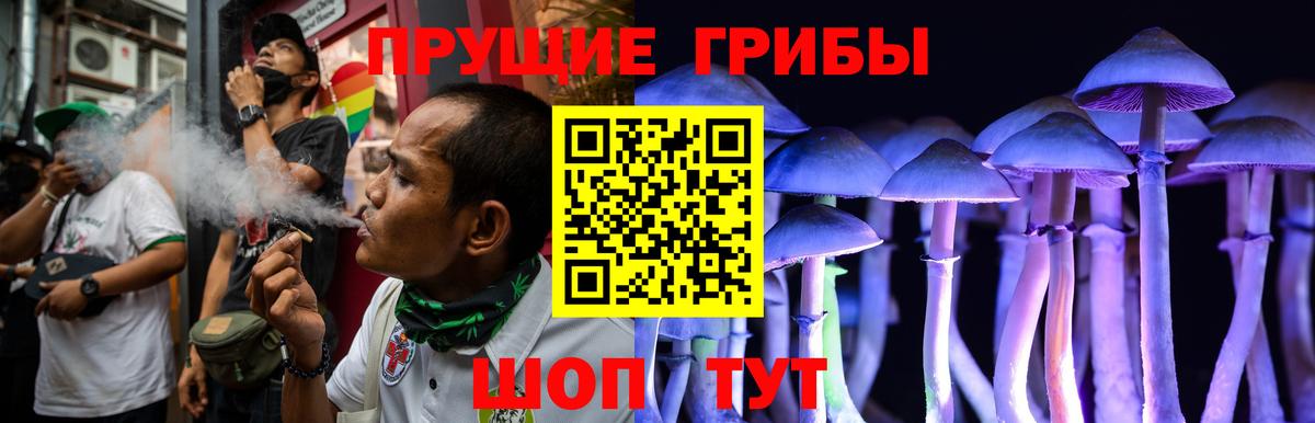 Галлюциногенные грибы мицелий Минусинск